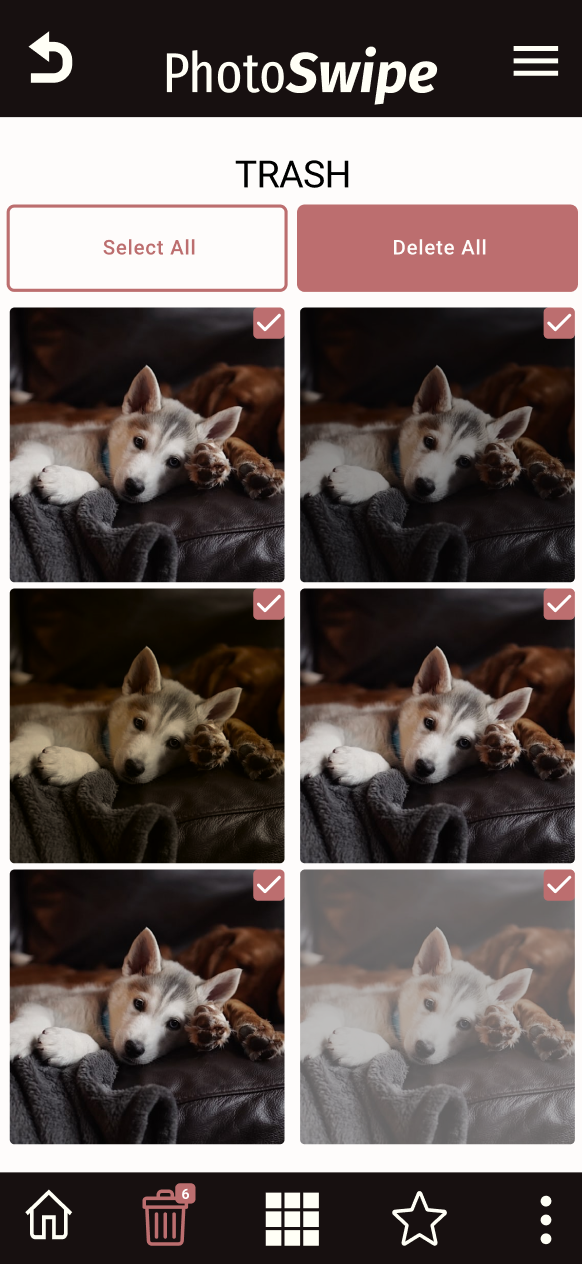 swipepic-homepage-animal-imahge-gallery-pink-black-white